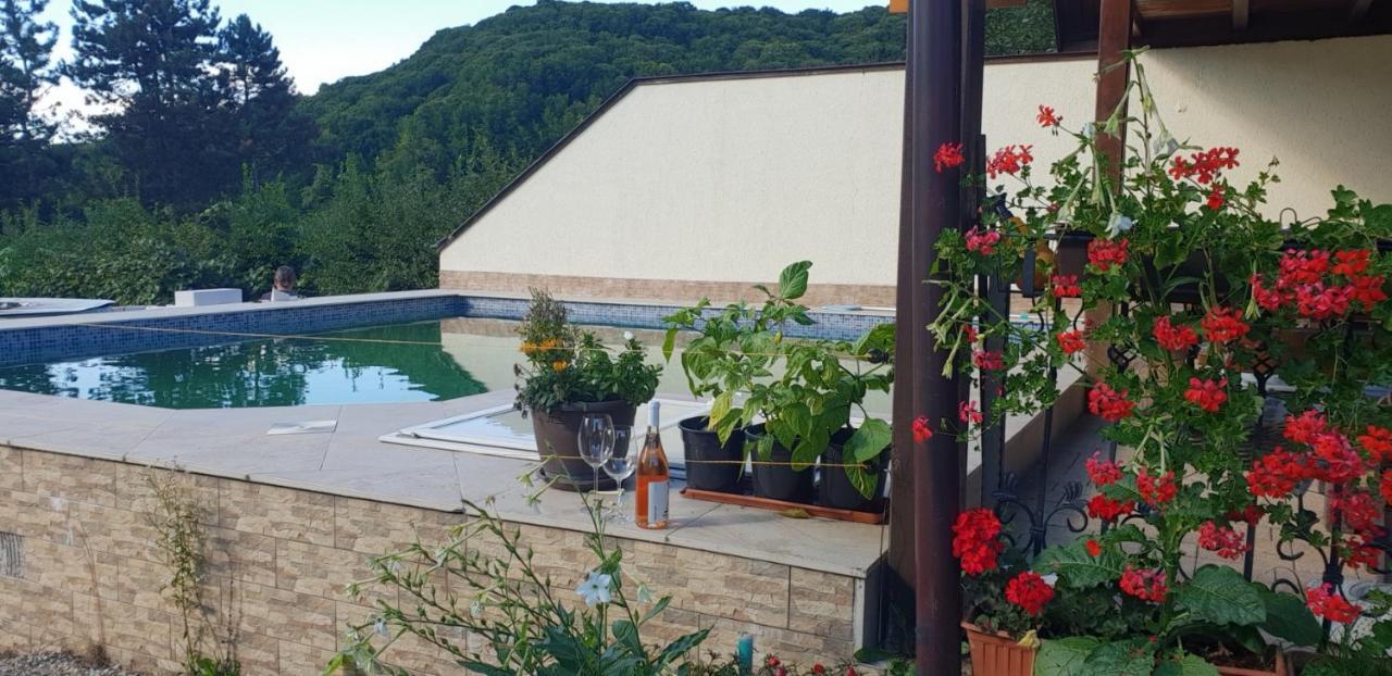 Limpedea Green House บายามาเร ภายนอก รูปภาพ